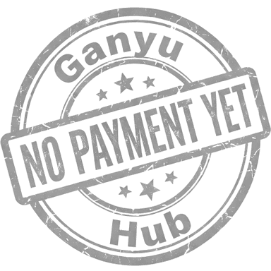 No payment yet